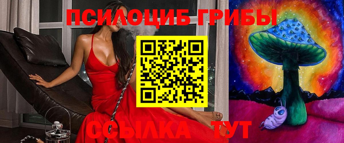 Галлюциногенные грибы Cubensis  Псилоцибиновые грибы Psilocybe  Братск  Вход с VPN 